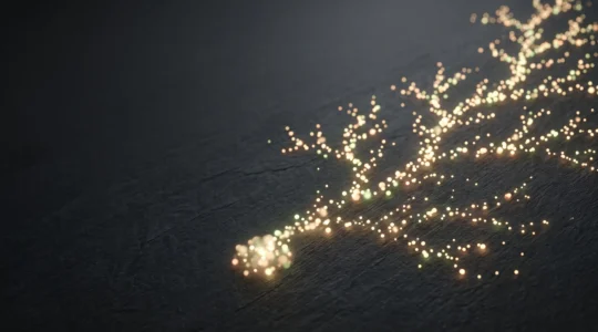 Représentation visuelle d'une croissance organique d'audience passant de mille à dix mille personnes engagées